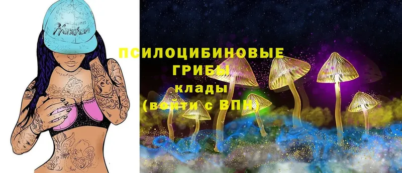 Галлюциногенные грибы Cubensis Болгар