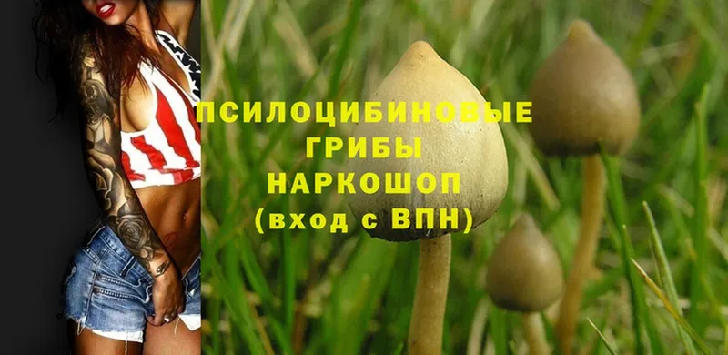 гидра зеркало  Болгар  Галлюциногенные грибы Magic Shrooms  дарнет шоп 